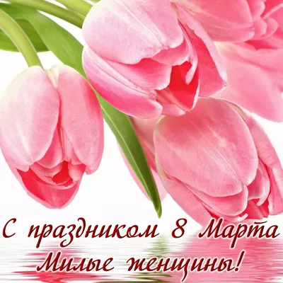 Живые Открытки - 🌺🌺🌺 Поздравляем с 8 марта! 🌺🌺🌺 Пусть в душе весна  резвится, Пусть растают все снега, Пусть весь мир у ног ложится, Милый  дарит жемчуга! С 8 марта поздравляю И