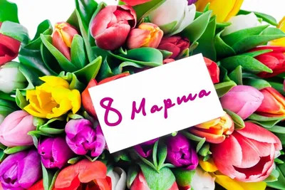 Дорогие женщины! Поздравляем вас с 8 марта! - Техмар