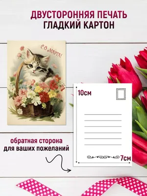 Купить Открытка «Внучке в день 8 Марта», кот, 12 х 18 см в Новосибирске,  цена, недорого - интернет магазин Подарок Плюс