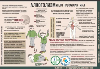 Профилактика алкоголизма | Здоровый Гродно