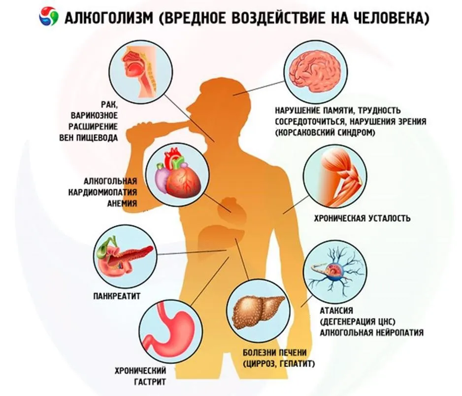 Национальный центр массового обучения » 11. Учебник \"Основы первой помощи\" » Глава тpинадцатая: КАК ИЗБЕЖАТЬ ОПАСНОСТИ АЛКОГОЛИЗМА Национальный центр массового обучения » 11. Учебник \"Основы первой помощи\" » Глава тpинадцатая: КАК ИЗБЕЖАТЬ ОПАСНОСТИ АЛКОГОЛИЗМА