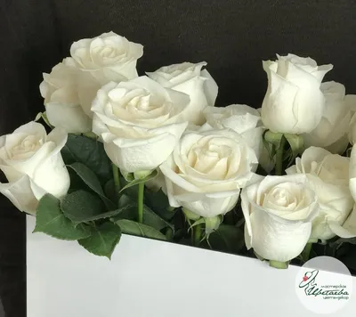 Кустовые розы с белыми розами в корзине – купить недорого