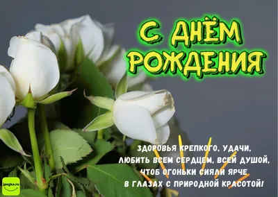 9 белых роз – купить с бесплатной доставкой в Москве по низкой цене