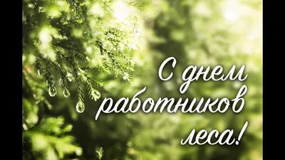 День работников леса и лесоперерабатывающей промышленности 2023, Тукаевский  район — дата и место проведения, программа мероприятия.