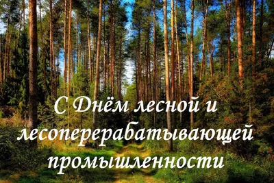 19 сентября — День работников леса, День оружейника и День рождения  «смайлика» | 19.09.2021 | Вольск - БезФормата