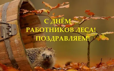 С Днём работников леса и лесоперерабатывающей промышленности! — Библиотека  БГТУ