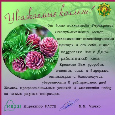 Министр экологии, геологии и природных ресурсов Казахстана Магзум  Мирзагалиев поздравил работников лесного хозяйства страны с  профессиональным праздником