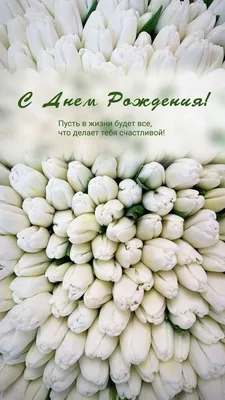 Поздравление с днем рождения девушке стихи, проза, картинки - Телеграф