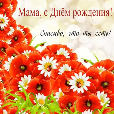 Открытки С днём рождения дочери для мамы 🌸 - скачать (149 шт.)