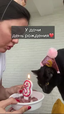 Открытки с днем рождения с кошкой 🐱 🐾 (46 шт.)