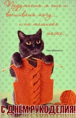 16 НОЯБРЯ С ДНЕМ РУКОДЕЛИЯ! 💐💁🏻✂🎀 | Веселые картинки, Рукоделие,  Праздник