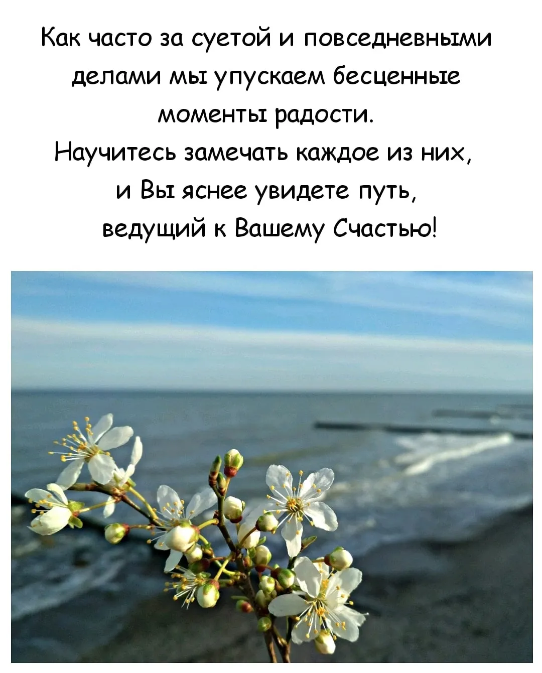 20 марта - Международный день счастья 20 марта - Международный день счастья