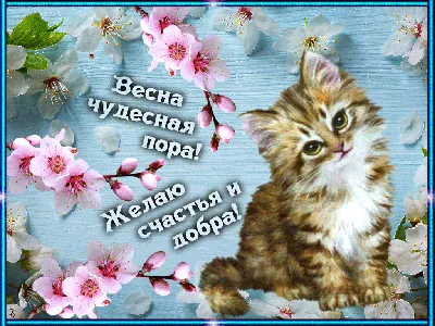 Поздравляю всех Вас с Международным днем Счастья! - Прочее