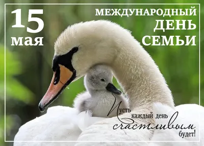 15 МАЯ МЕЖДУНАРОДНЫЙ ДЕНЬ СЕМЬИ! Счастливы вместе. Красивое видео  поздравление с Днем Семьи! - YouTube