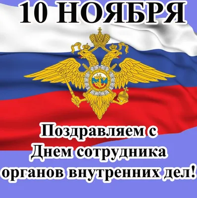 День сотрудника органов внутренних дел отмечается 10 ноября | Администрация  Городского округа Подольск