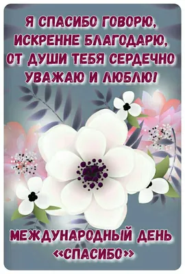 Международный день спасибо. Открытка спасибо. 11 января | Открытки,  Поздравительные открытки, Картинки