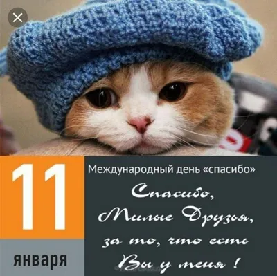 11 января Международный день Спасибо! - YouTube