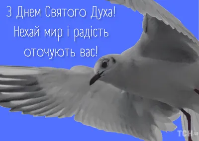 День Святого Духа 2021: когда отмечается и что запрещено делать — УНИАН