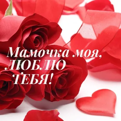 День Святого Валентина — поздравления, написанные ChatGPT на 14 февраля -  Телеграф