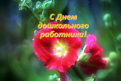 С Днём воспитателя и всех дошкольных работников! | Детский сад №61  \"Родничок\"