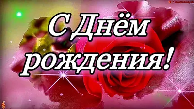 Открытки с Днем рождения | СИБ.ФМ | Дзен