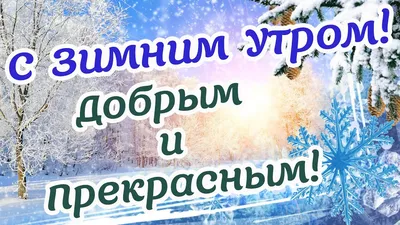 Забавные прикольные зимние открытки | Открытки, поздравления и рецепты |  Дзен