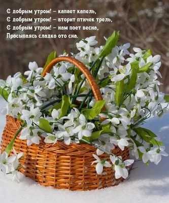 Открытки с 8 марта - Международным женским Днём - скачайте на Davno.ru.  Страница 9
