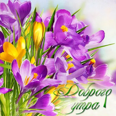 Открытки с 8 марта с пожеланиями в прозе - скачайте бесплатно на Davno.ru