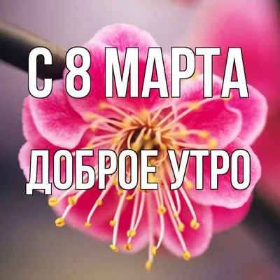 🌞 С добрым утром! 🌼🌻🌼 | Поздравления, пожелания, открытки | ВКонтакте