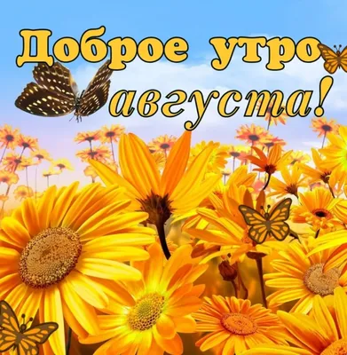 Formybaby.ru - С ДОБРЫМ ЛЕТНИМ УТРОМ! Сегодня 8 августа,... | Facebook