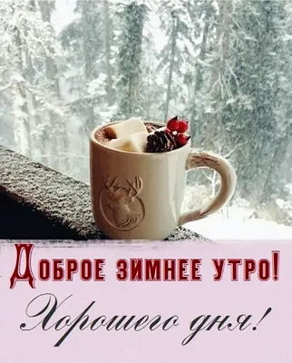 Доброе утро. Февраль всегда полон надежд. Февраль — это практически весна.  А весной возможно абсолютно всё. Отличного всем дня.… | Instagram