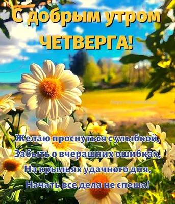 Картинки с Добрым утром четверга (60 штук)