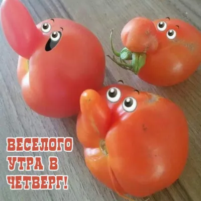 УДАЧНОГО ВАМ ЧЕТВЕРГА! ☀️ С добрым утром! ☀️ Хорошего дня! | Поздравления  от души | Дзен