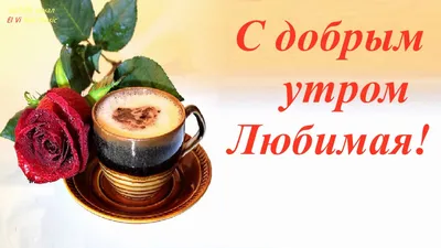 Открытки с добрым утром женщине | Открытки, Доброе утро, Праздничные цитаты