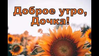 Картинки \"С Добрым Утром!\" для любимой (270 шт.)