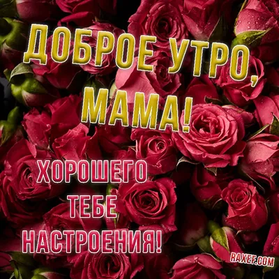 Картинка: Доброе утро, любимая мамочка!