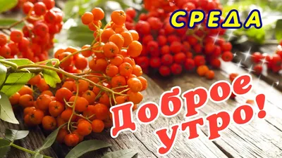 Картинки С добрым утром среды - скачать (174 шт.)