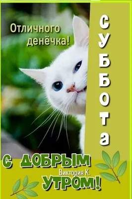 Пин от пользователя Ольга на доске Доброе утро. Суббота. | Открытки,  Счастливые картинки, Веселые картинки