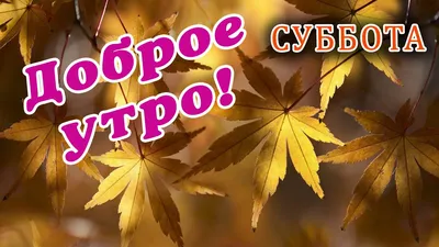 Доброе утро! Хорошего дня! Суббота.🤗🌿🌺🌿💖 | Доброе утро, Модная  фотография на природе, Открытки