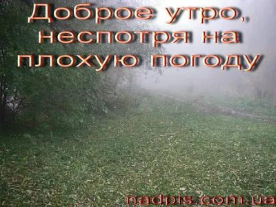 Картинки доброе утро в любую погоду весна дождь (52 фото) » Картинки и  статусы про окружающий мир вокруг