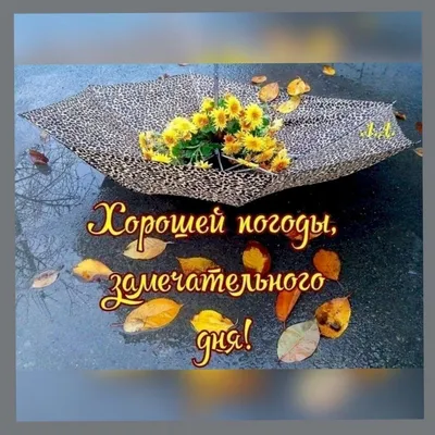 Женский уголок - 🍂 С добрым утром! | Facebook