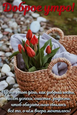 Доброе утро # Прекрасного дня # | TikTok