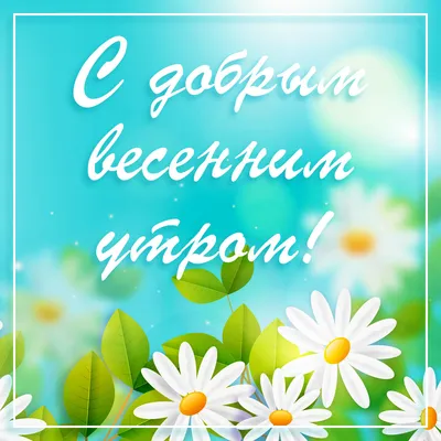 С добрым утром 🌞🌼🌺🌹 | TikTok