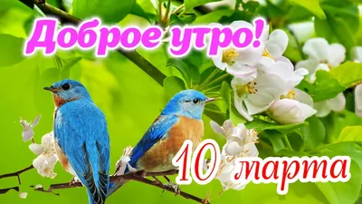 Картинки \"Доброго весеннего утра!\" (531 шт.)