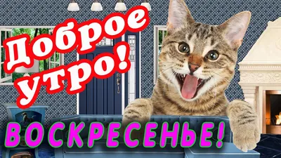 Куча кофе Утро белый кофе с приветственным текстом - Доброе утро,  воскресенье, и желтые маленькие цветы Стоковое Изображение - изображение  насчитывающей утро, напитка: 162036565