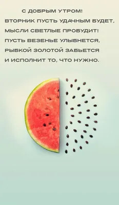 Картинки \"Доброе утро. Вторник\" (779 шт.)