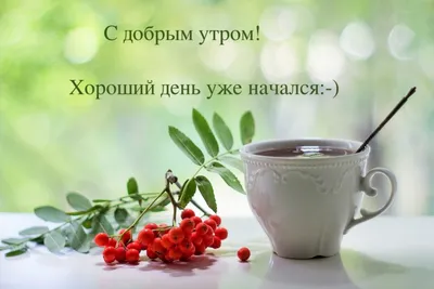 С добрым утром!#видеооткрытка #открыткасдобрымутром#открытка #рекоменд... |  TikTok