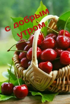 Доброе утро! 💝 | Свежие фрукты, Фрукты, Ягоды