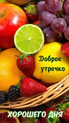 СЪЕДОБНЫЕ БУКЕТЫ НА ЗАКАЗ - Доброе утро ☀️ . Бутылка шампанского и фрукты  🍇 🍎🍑🍒 . Оригинальное сочетание для подарка 🤗🌹 . #frutteto54  #фруктовыебукеты #букетназаказнск #букетизфруктовнск #фруктовыйбукетнск  #букетизовощейифруктовнск #новосибирск ...