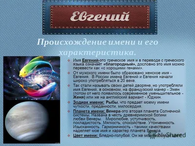 Жигуленко Евгения Андреевна | МОБУ СОШ № 89 г. Сочи имени Героя Советского  Союза Жигуленко Е.А.